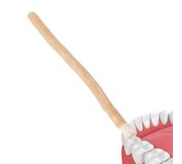 Bâton en bois naturel 20 x 5 x 1 cm | Brosse à dents traditionnelle en bois naturel Agent de blanchiment des dents manuel | Nettoyage doux pour une hygiène quotidienne et une utilisation en voyage