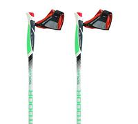 Bâton marche nordique tsl tactil c50 paire 50% carbon blanc vert crossover