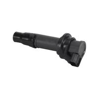 Bâton Noir Bobine Bougie D'allumage Moto pour KX250F 2004-2010 21121-002