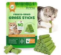 Bâtonnet à Mâcher en Herbe à Chat 60g, Friandises Lyophilisées pour Chats, Récréations Comestibles pour Nettoyer Les Dents et Éliminer Les Boules de Poils, Saveur Poulet Naturelle