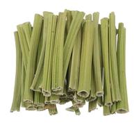 Bâtonnets à Mâcher 100 G en Tige de Papaye Séchée pour Petits Animaux | Lapins, Cobayes, Hamsters et Chinchillas, Sachet Portable Vert, Soin Dentaire