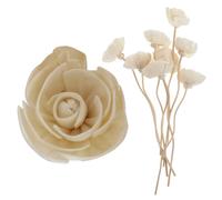 Batonnets D'aromath¿¿Rapie Pour Diffuseur D'huiles Essentielles",Canne De Fleur S¿¿Ch¿¿E Sans Feu,"Roseau D'huile De Rotin - Type White #B