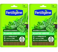 Bâtonnets d'engrais plantes vertes 40 bâtonnets (Lot de 2)