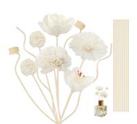 Batonnets Diffuseur Parfum 18 Pièces Diffuseur Parfum Interieur Maison