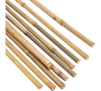 Bâtonnets Ferrarium Tonkin par 25 pièces de différentes tailles - 61 cm (diamètre 8/10 mm)