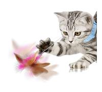 Bâtons à mâcher | Jouet interactif pour chat | Jouets rétractables à l' à chat avec collier | Jouet pour animal domestique pour chaton qui s'amuse à faire de l'exercice