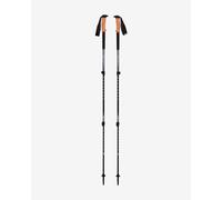 Black Diamond Trail Cork Trekking Poles Homme Gris