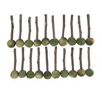 Bâtons de Boule d'herbe à Mâcher pour Animaux de Compagnie, Jouets de Meulage de Dents Saines pour Lapins, Cochons d'Inde, Bâtons à Mordre en Bois 20 Pièces