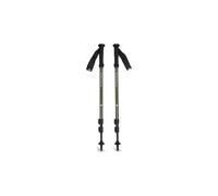 Black Diamond Bâtons de randonnée Explorer 3 Argenté 58,5–130 cm