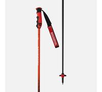 Bâtons de Ski Alpin Hero Carbon 125