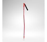 Bâtons de Ski Alpin Junior Hero GS SG 95
