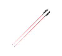 Bâtons de ski Faction (Cabernet) 125 cm