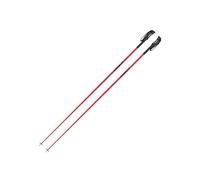 Bâtons de ski Faction (Cabernet) 135