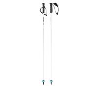 Head - Bâtons de ski course - Worldcup Rebels Carbon White - Taille 120 cm - Blanc Blanc 120 cm