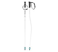 Batons De Ski Head Worldcup Sg Jr Garçon Blanc 2027 taille 105