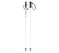 Batons De Ski Head Worldcup Sl Jr Blanc Garçon Blanc 2027 taille 105