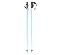 Head Worldcup Sl Poles Bleu 110 cm Homme,Femme