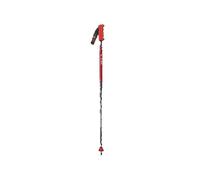 Bâtons de ski VOLA New Géant Carbone 110