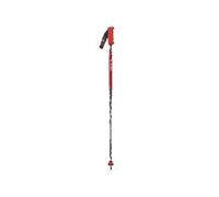 Bâtons de ski VOLA New Géant Carbone 120