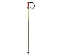 Batons De Ski Volkl Phantastick 16mm Green Vert Homme Vert 2027 taille 110
