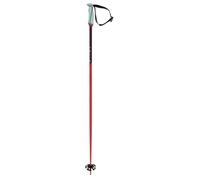 Volkl Phantastick 18mm Poles Rose 130 cm