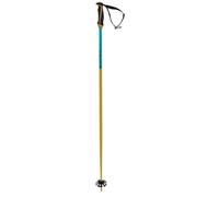 Batons De Ski Volkl Phantastick 18mm Yellow Jaune Homme 120