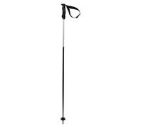 Volkl Phantastick Iii Poles Argenté 130 cm Homme,Femme