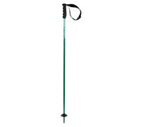 Batons De Ski Volkl Phantastick Jr Green Vert Garçon Vert 2027 taille 100