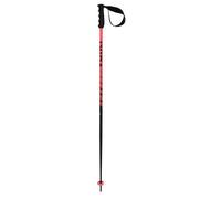 Volkl Speedstick Poles Noir 110 cm