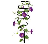 Bâtons de Support pour | Support de en métal,Support de grimpantes pour Lierre,pour Jardin intérieur Balcon jardiniers et architectes paysagistes à la Maison