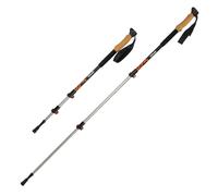 Bâtons de trekking Horizon Alu Rockland