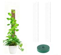 Bâtons en mousse en plastique avec sangle de fixation pour plantes grimpantes pour soutenir la fixation naturelle des vrilles et extension verticale (A)