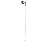 Leki Bâton de marche nordique Passion Unisexe pour adulte 120 cm Vert fumé/Blanc