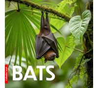 Bats 2026 Calendar: Mystery, Flight, and the Beauty of the Night
