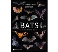 Bats An Illustrated Guide to All Species by Marianne Taylor & Photographs by Merlin Tuttle Marianne Taylor Photographs by Merlin Tuttle (Auteur)