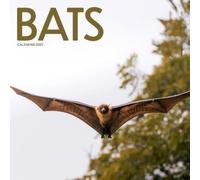 Bats Calendar 2027: Night Wings and Wild Skies