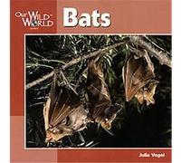 Bats, Our Wild World Series Julia Vogel (Auteur)