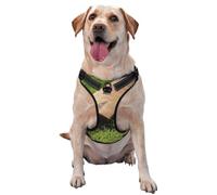Batte et Balle de Cricket,Harnais pour Animaux de Compagnie, Harnais réfléchissant réglable pour Chien,L