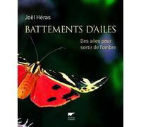 Battements d'ailes: Des ailes pour sortir de l'ombre
