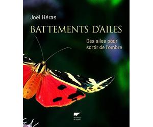 Battements d'ailes: Des ailes pour sortir de l'ombre