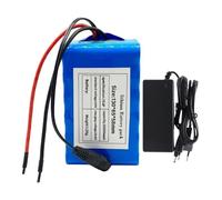 Batterie 24 V 20 Ah pour Vélo Électrique avec Protection BMS, Batterie pour Scooter Électrique, Pack Batterie Lithium-ION 7S3P pour Vélo Électrique avec Chargeur T+DC