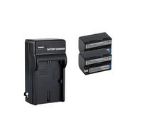 Batterie 2800 MAh NP-FS20 NP-FS21 NP-FS22, Compatible avec Sony, for DCR-PC5E DCR-PC3E PC1 PC2E PC5 PC3 PC1E PC5L PC4 PC2 TRV1VE PC4E(2Battery and 1Charger)