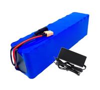 Batterie 48 V 62 Ah pour Vélo Électrique, Batterie pour Scooter Électrique, Batterie Lithium-ION pour Vélo Électrique, Batterie pour Vélo Électrique avec Chargeur XT90