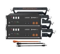 Batterie 9,6 kWh LiFePO4 mémoire batterie 48 V 2 pcs BMS intégré US5000 Pylon...