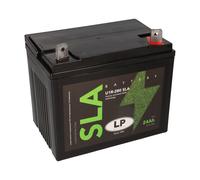 Batterie AGM 12V 24Ah Pour Tondeuse À Gazon Tracteur À Gazon LS U1R-280 SLA