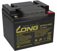Batterie AGM GEL LONG WP50-12NE 12V 50Ah Plomb