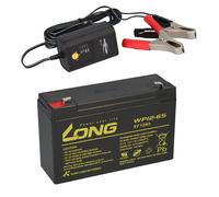 Batterie AGM Plomb 6V 12Ah Compatible Pour UPS Plomb Gel + Chargeur 10Ah