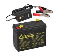 Batterie AGM Plomb 6V 7Ah WP7-6S Compatible Pour UPS Plomb Gel + Chargeur