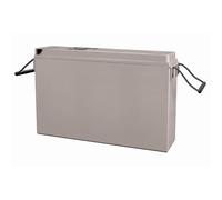 Batterie AGM Telecomm 12 V/165 Ah (M8)