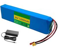 Batterie au lithium 36 V 12 Ah pour scooter électrique et vélo électrique, avec chargeur (XT30 + JST + DC)